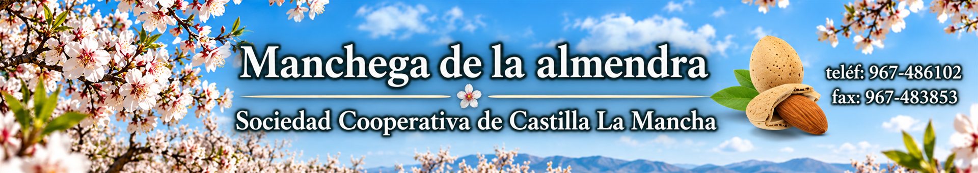 Manchega de la Almendra - Sociedad Cooperativa de Castilla La Mancha